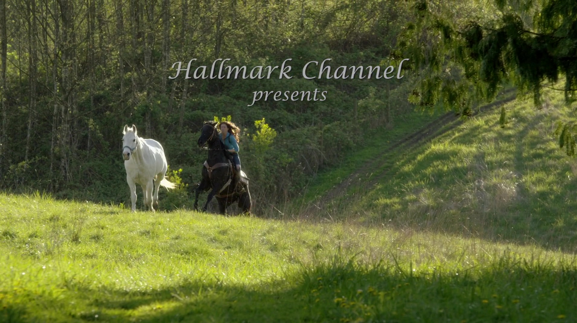 ACountryWedding_00001.jpg