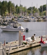 AllSummerLong_0011.jpg
