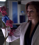 NOF1x08_0190.jpg