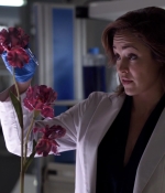 NOF1x08_0191.jpg