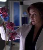 NOF1x08_0192.jpg
