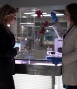 NOF1x08_0193.jpg