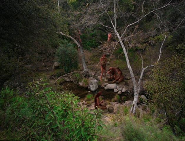 STV_7x22_0001.jpg