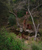 STV_7x22_0001.jpg
