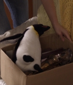 sonsofanarchy_s01e04_023.jpg