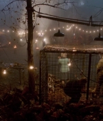 Wolves_0062.jpg