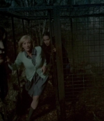 Filename=Wolves_0096.jpg
Filesize=148KiB
Dimensions=1920x1040
Date added=May 09, 2025 Wolves_0096.jpg